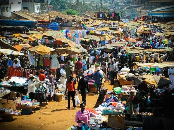 kampala tours 3 days — Uganda safari (photo 2)