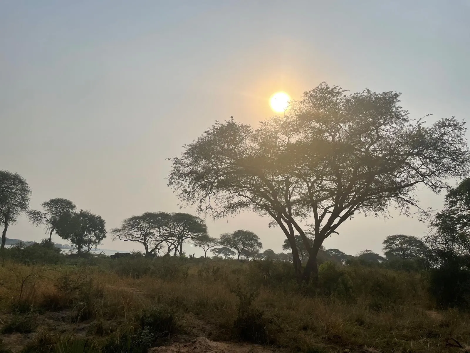 murchison falls 3 days — Uganda safari (photo 1)